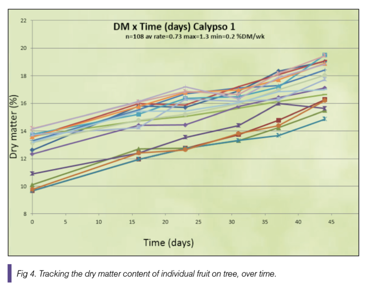 Fig 4. Tracking the dry matter content of individual fruit on tree, over time