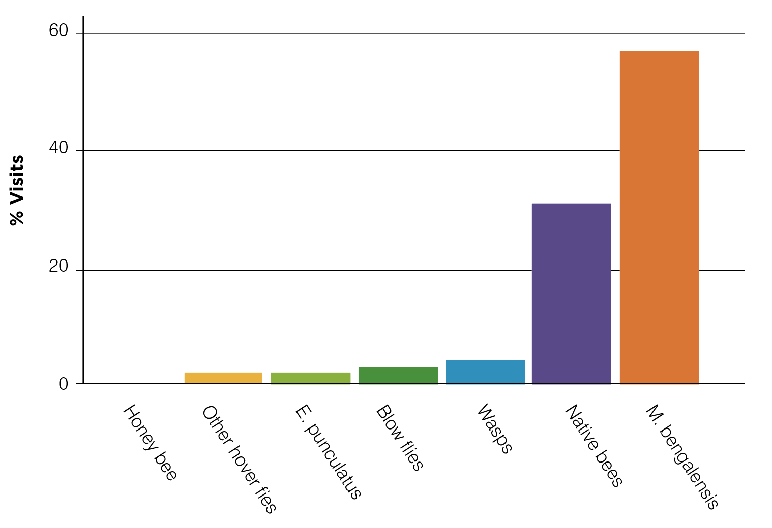 Flower visitors by percentage of all visits to mango flowers on farms around Berry Springs. 