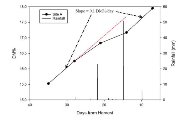 Figure 2. An example of from 2015: Rainfall is shown on the right side, fruit DM on the left. The rainfall events of approximately 20 and 50 mm at 23 and 16 days before harvest caused a temporary decrease in the rate of DM accumulation.