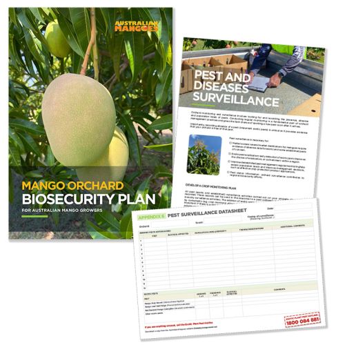 Mango Orchard Biosecurity Plan