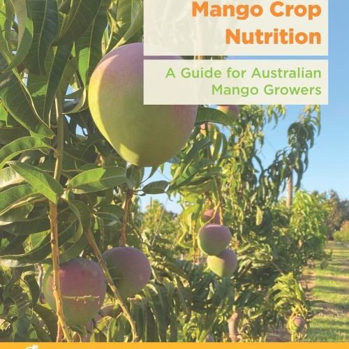 Understanding Mango Crop Nutrition Guide